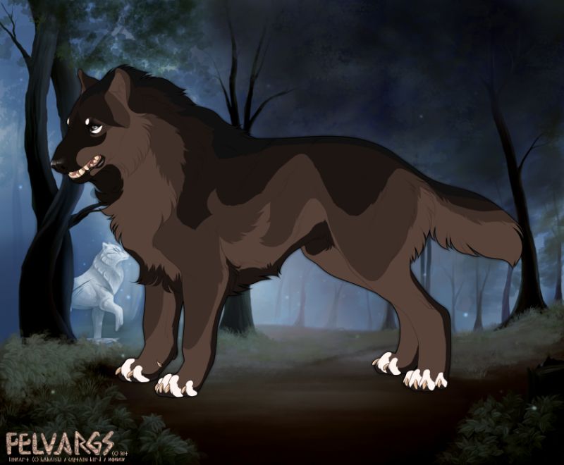 1063_Scout_Kadotus