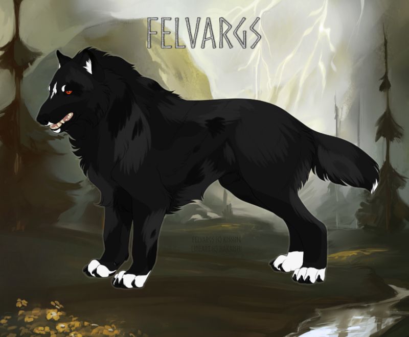 1125_Kalderyr