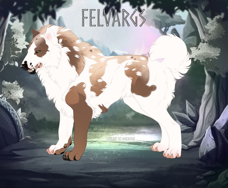 1158_Felix