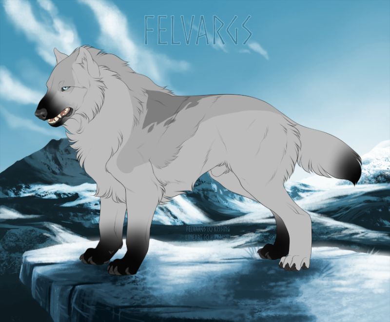 1350_Iki