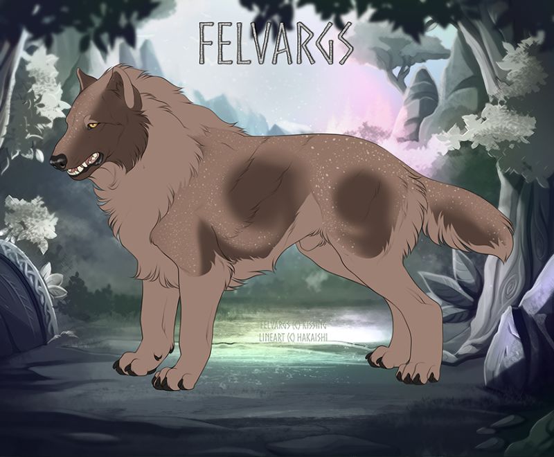 1431_Felip