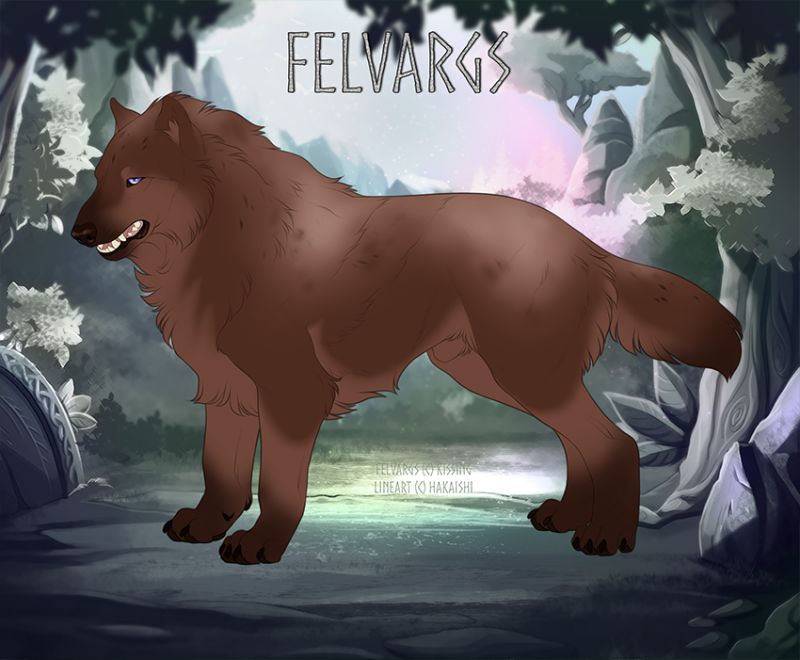 1435_Kuma