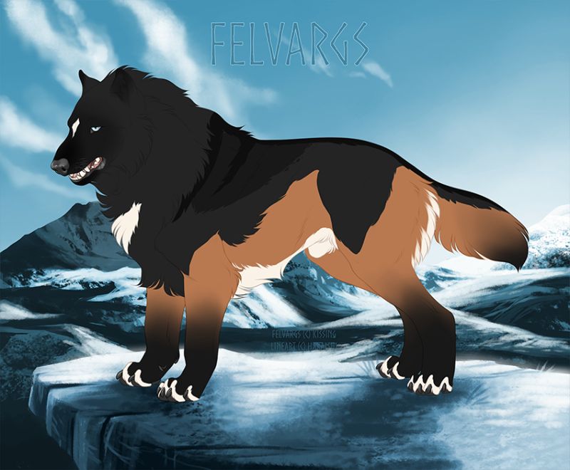 1537_Harbard