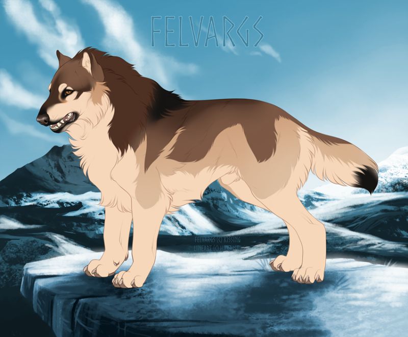 153_Shakal