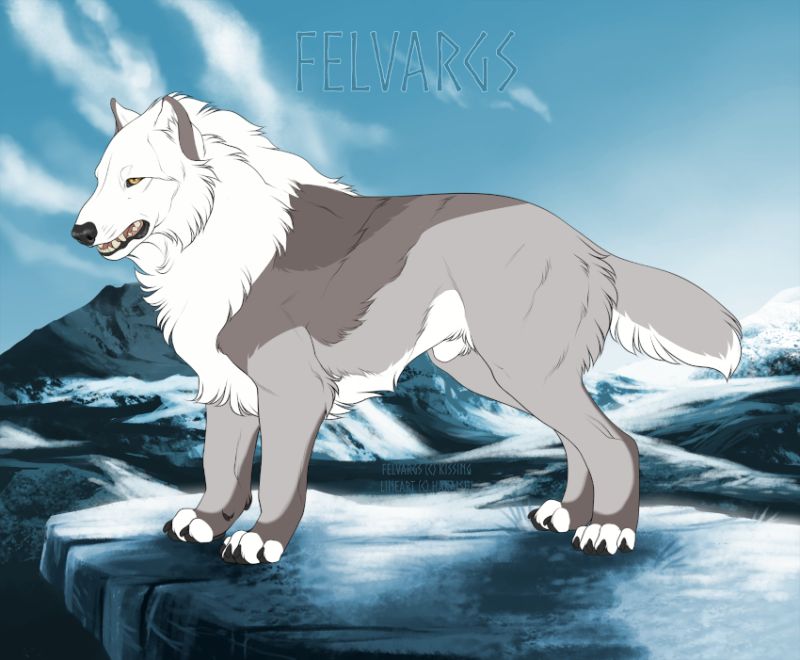 1593_Seggr