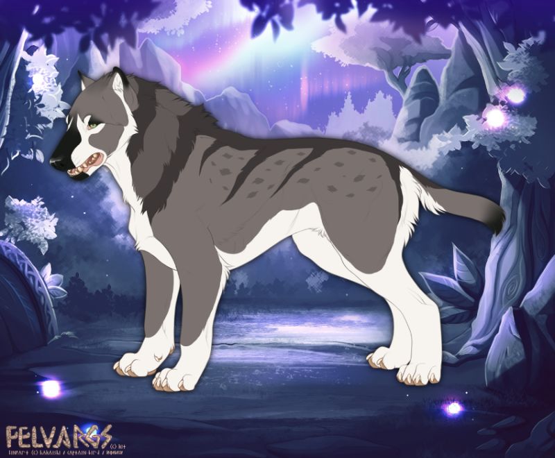 1629_Amaya