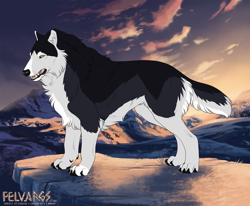 1674_Levori