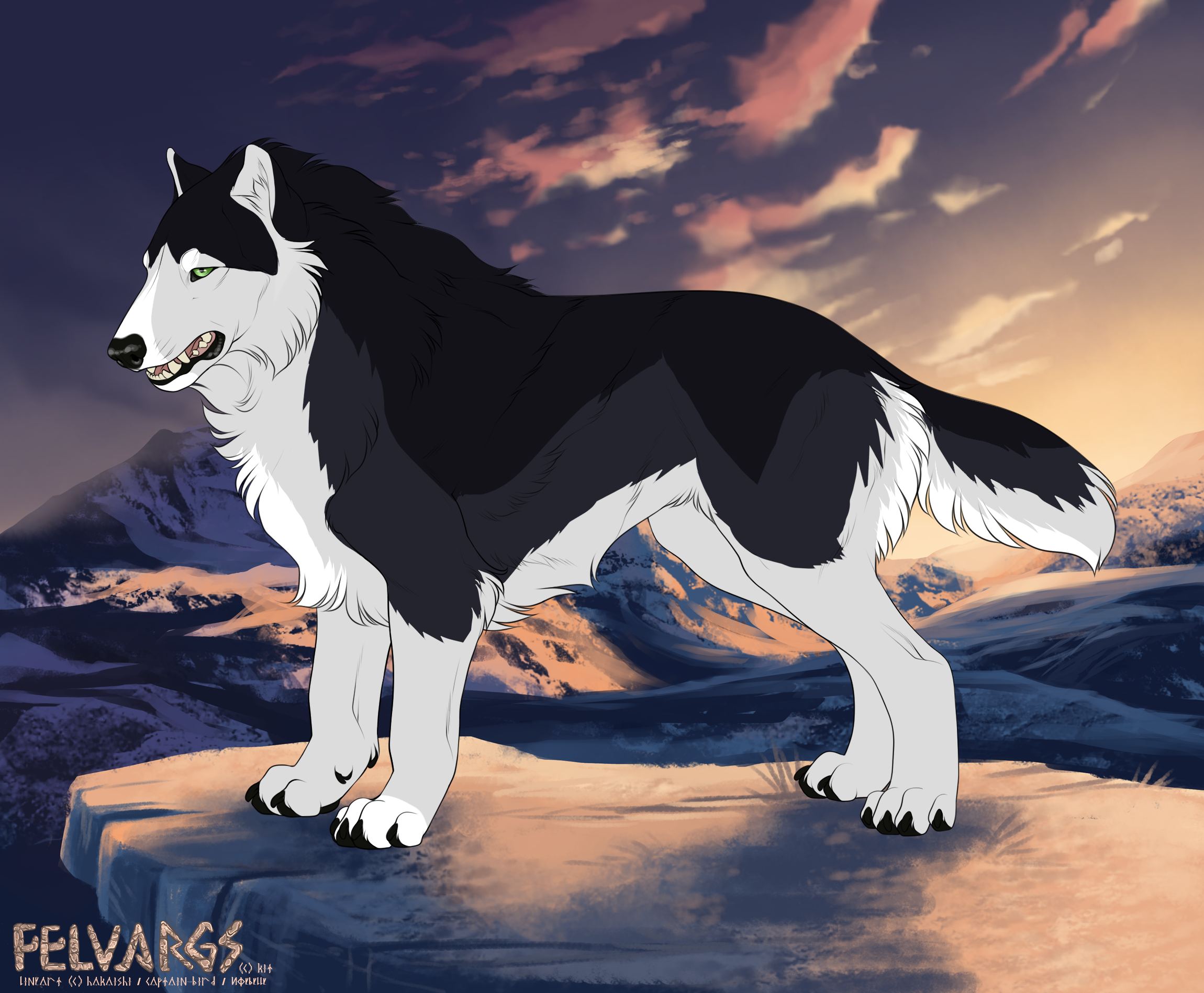 1674_levori