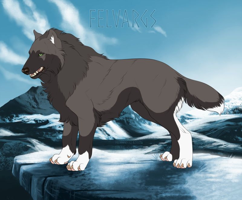 193_Shadow