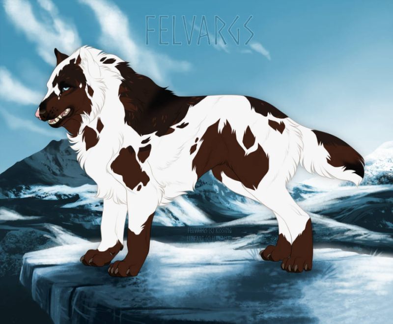 217_Hauras