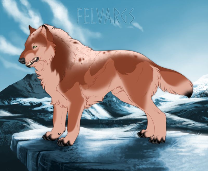 229_Einarr