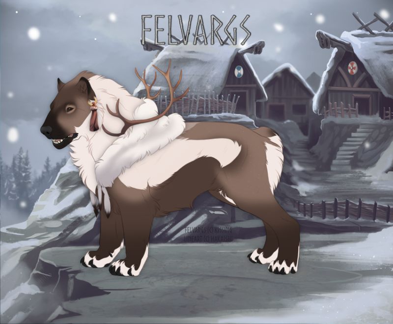2372_Felfara