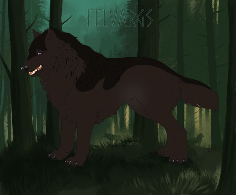 24_Unknown