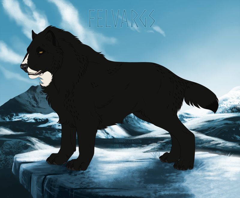 2617_Bjarke