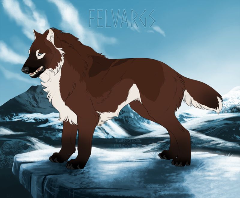 2630_Halfaar