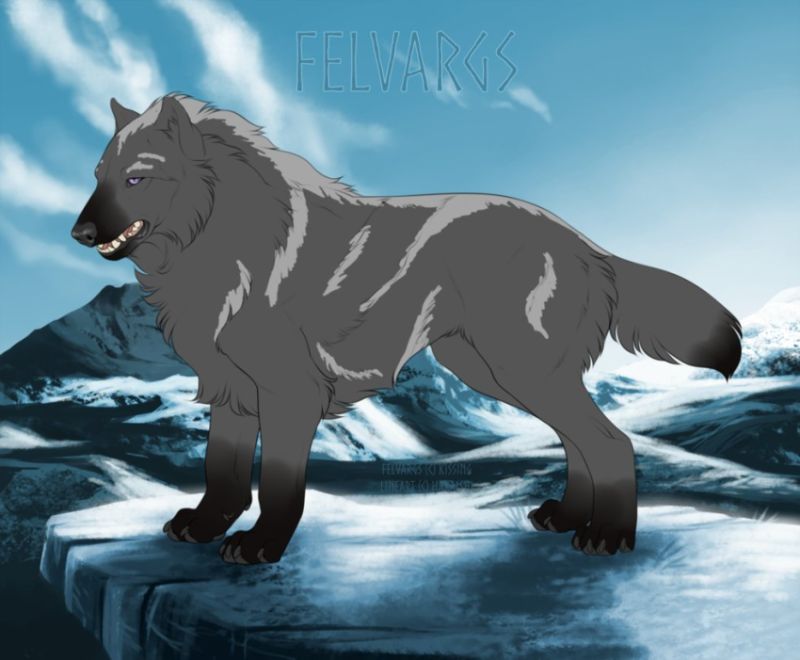 2722_Echo