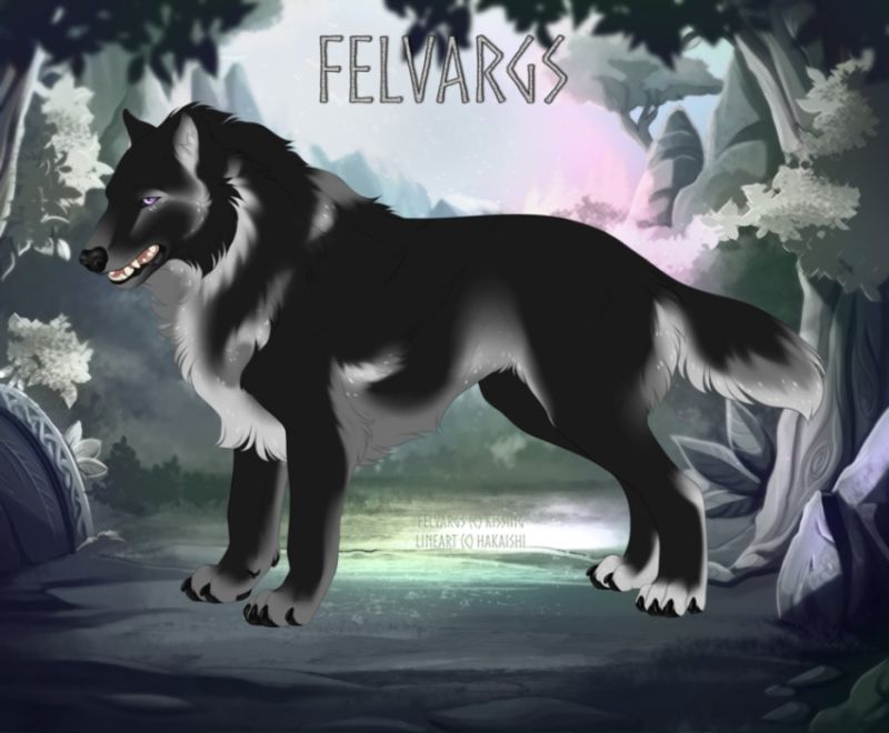 2799_Vellichor