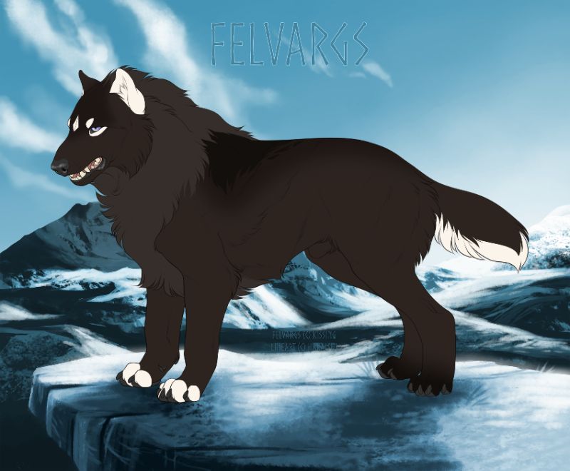 2870_Avinay