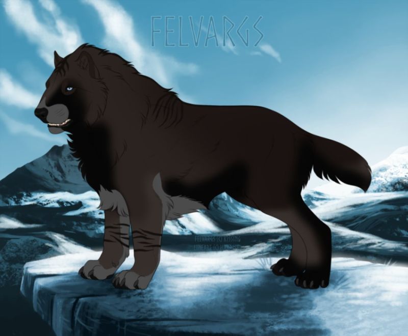 2916_Melanistic_Tiger