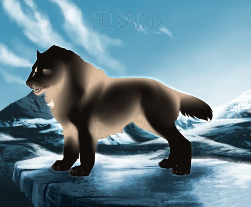 2976_Ember