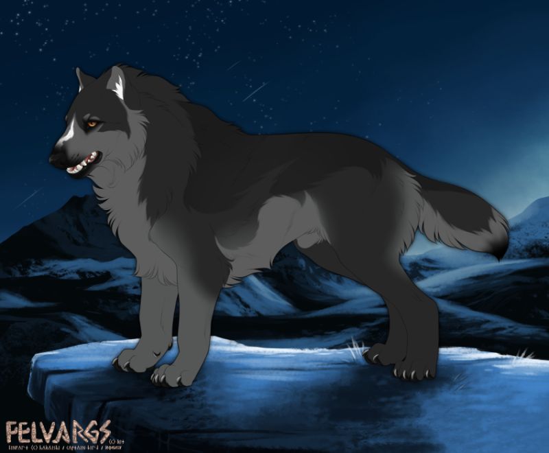 3022_Flynn