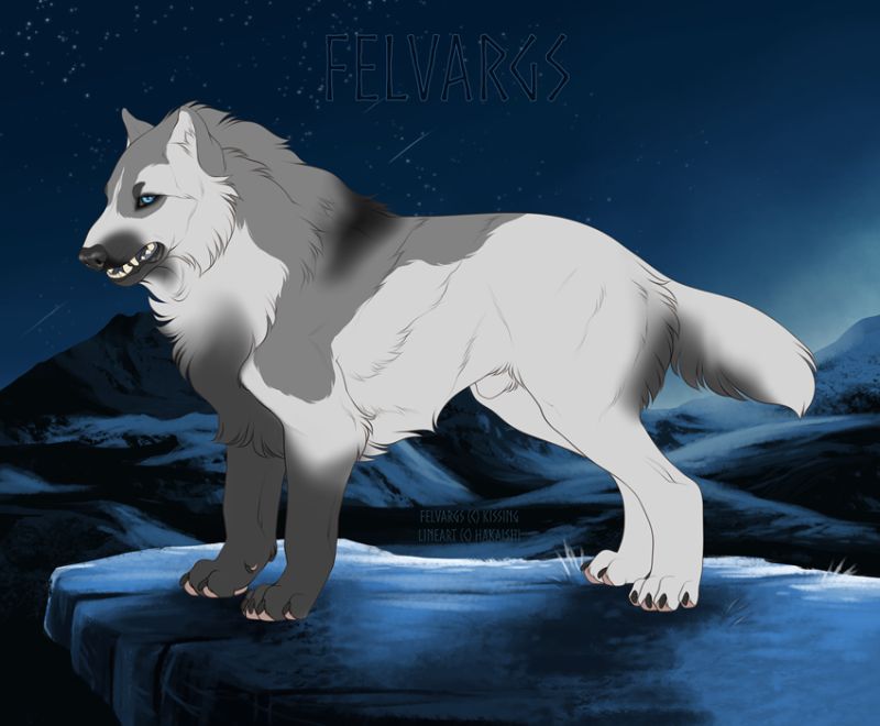 3041_Arawind