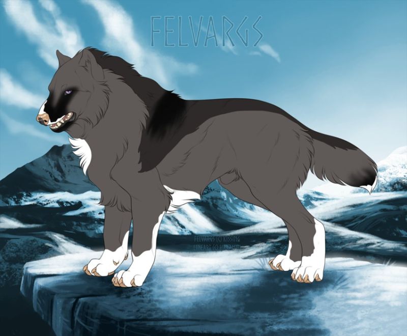 309_Farkas