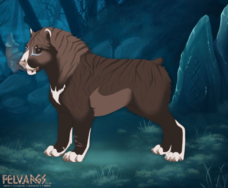 3140_Koda