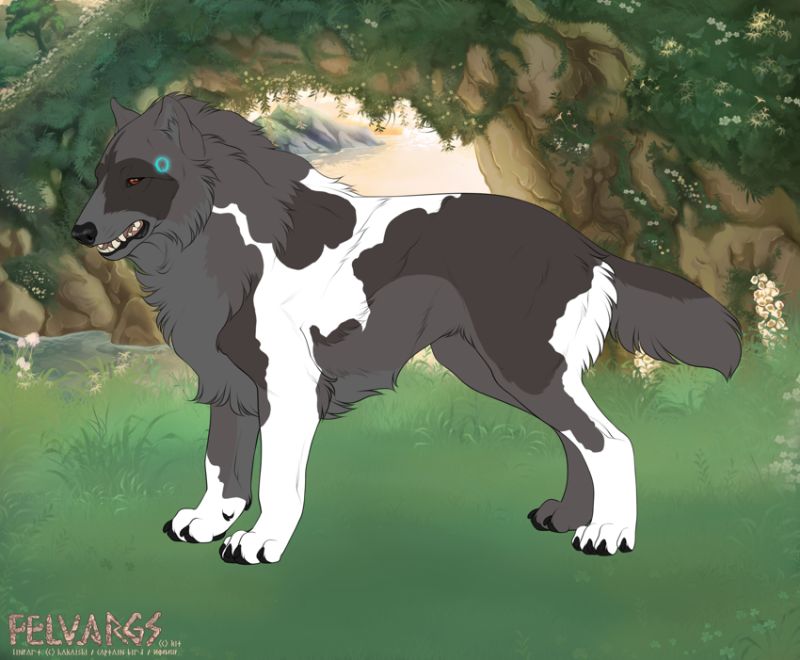 3384_Connor