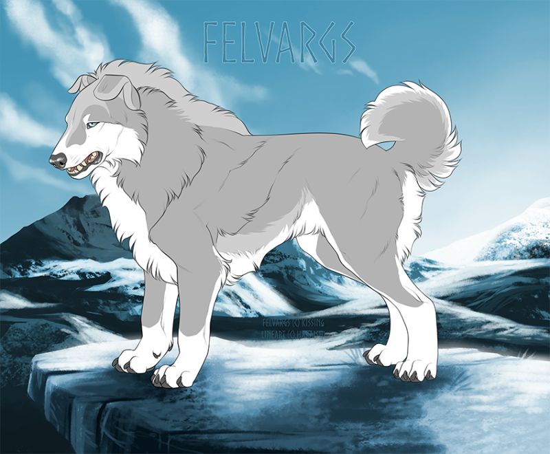 3420_Anernerk