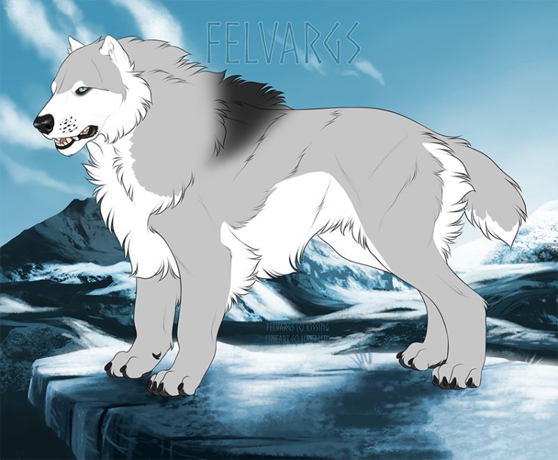 3433_Winter
