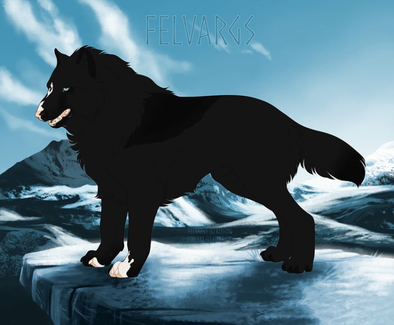344_Trico