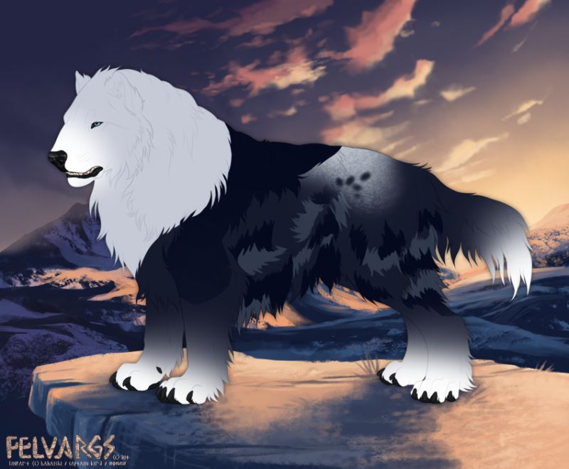 3460_Rowanoke