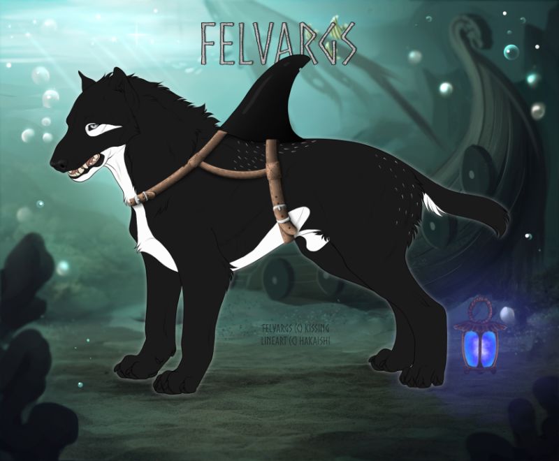 3561_Tilikum