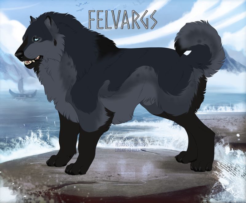 3642_Avanto
