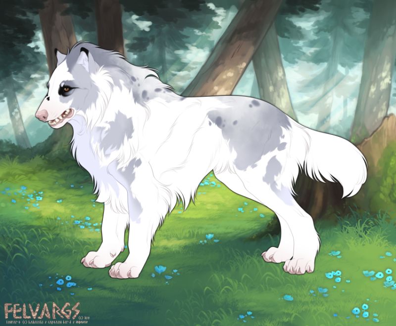 4135_Shasta