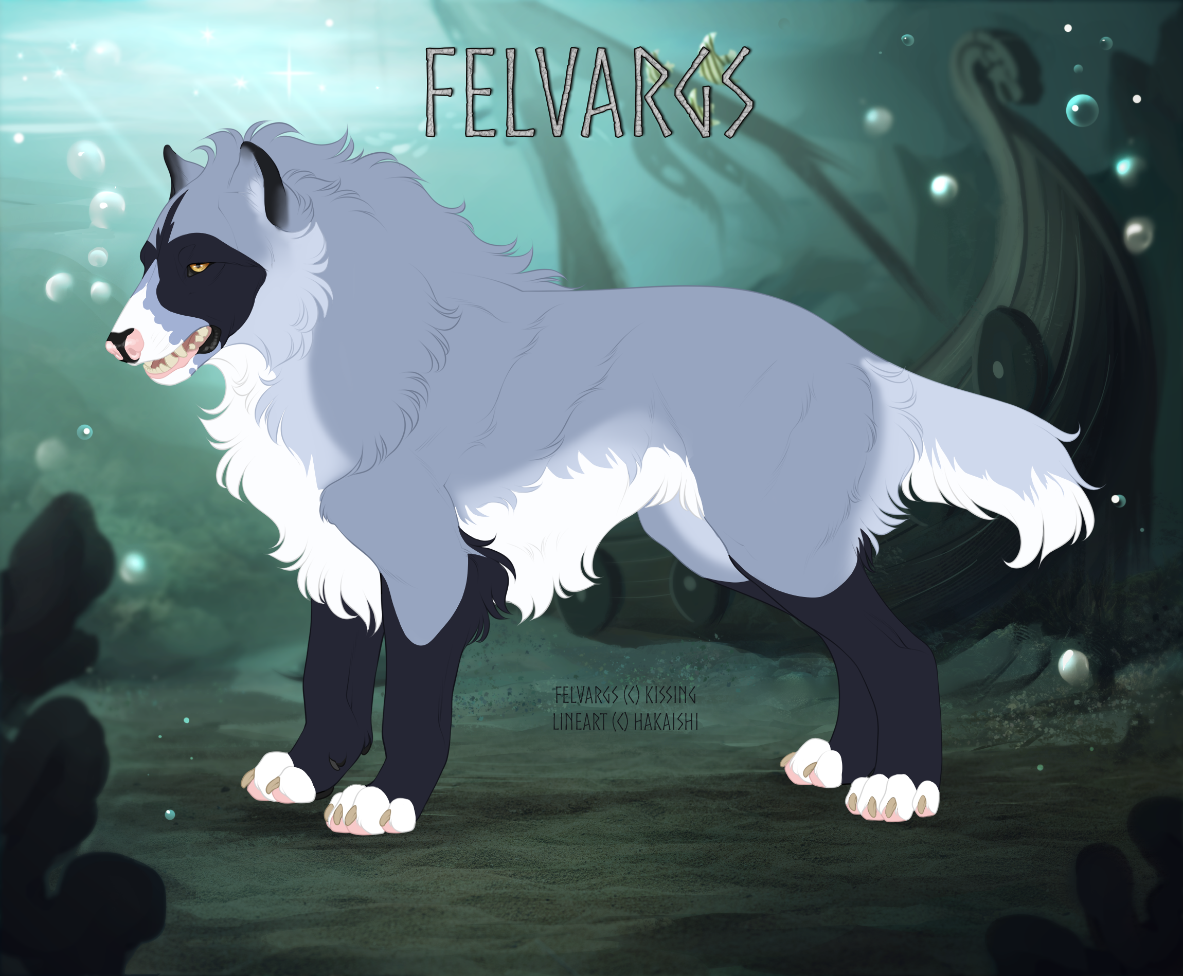 4268_acacia_collingwood