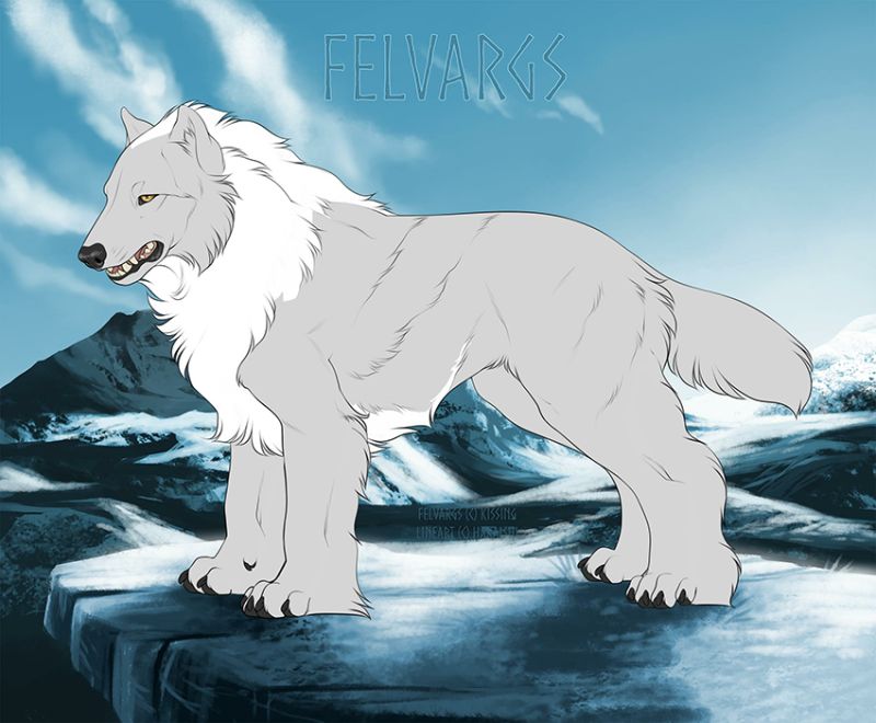 4367_Fel