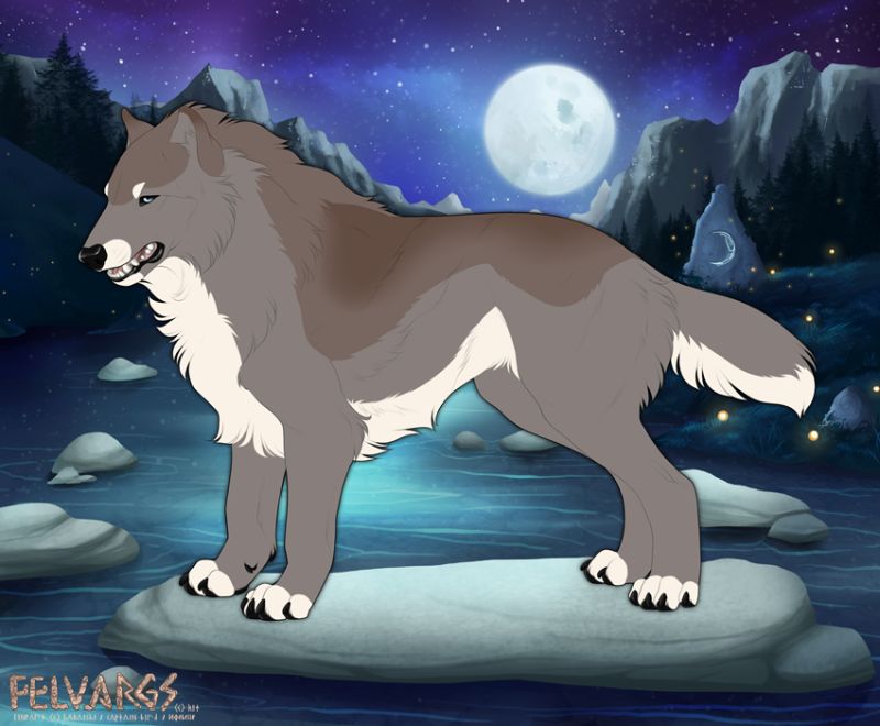 443_Fiona