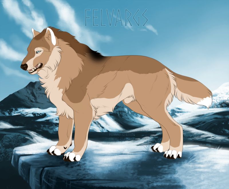 449_Aengus