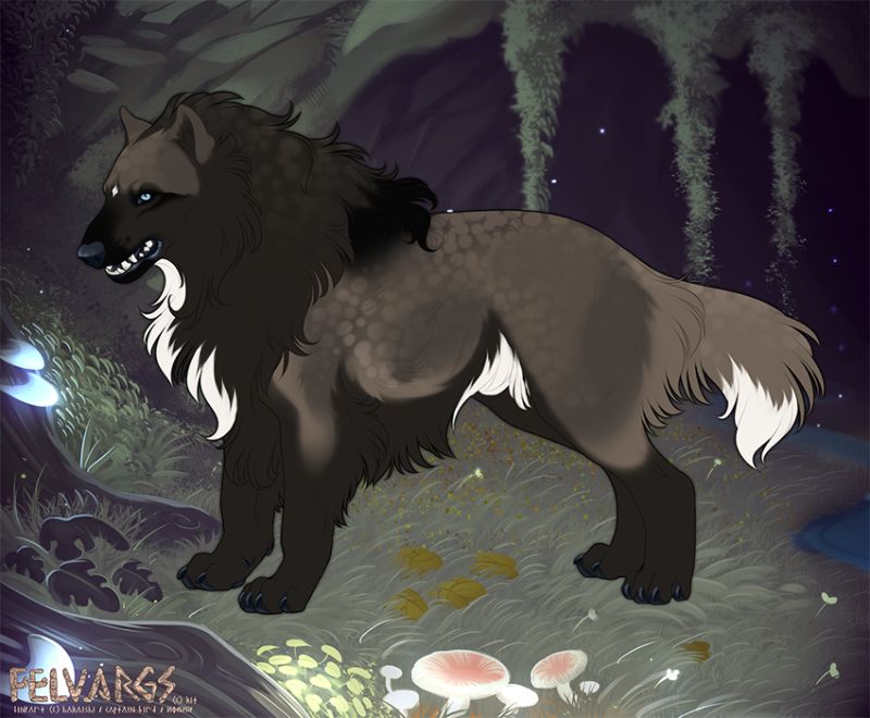 4631_Mordax