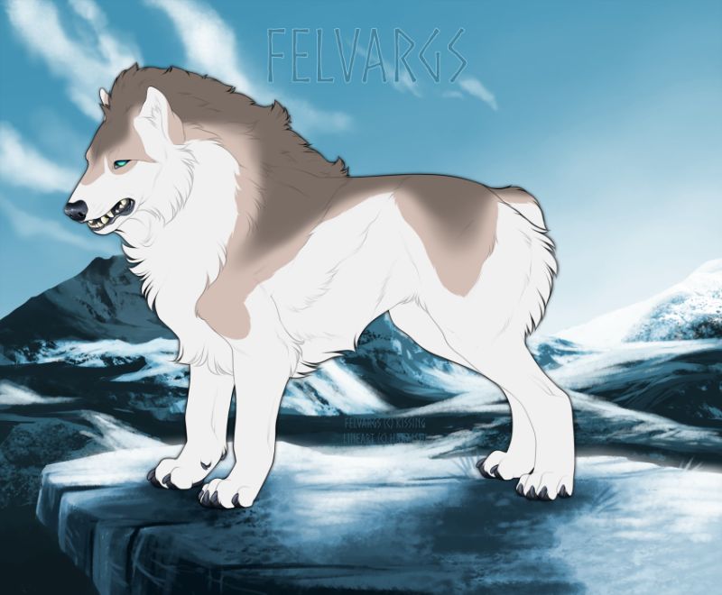 4804_Augur_Jerana