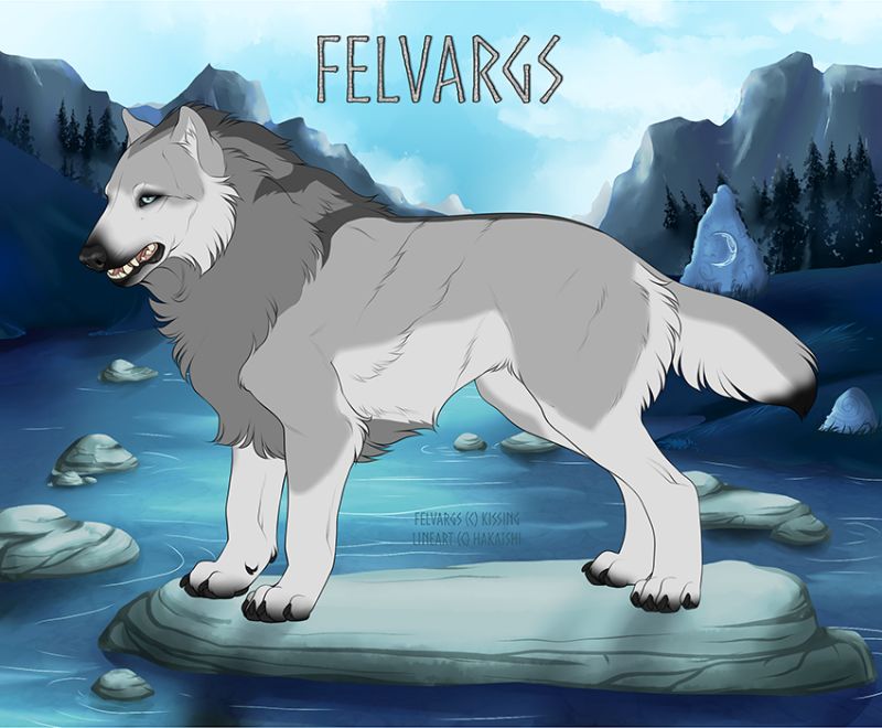 4906_Aava