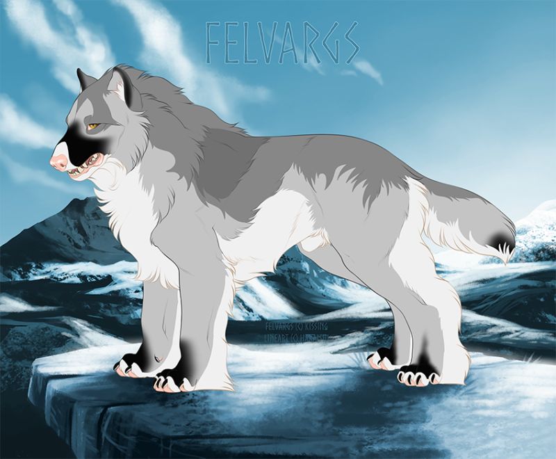 4992_Owaisy