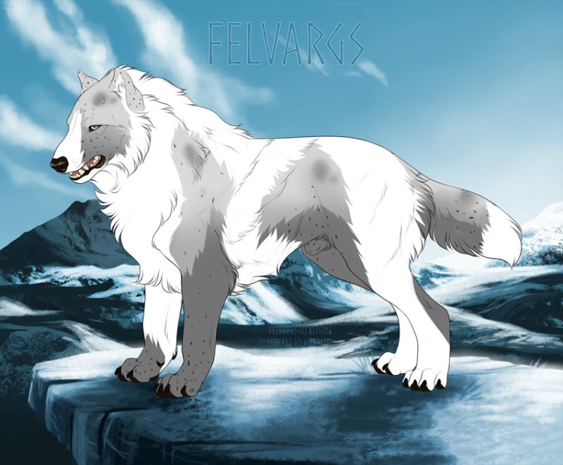49_Shilah