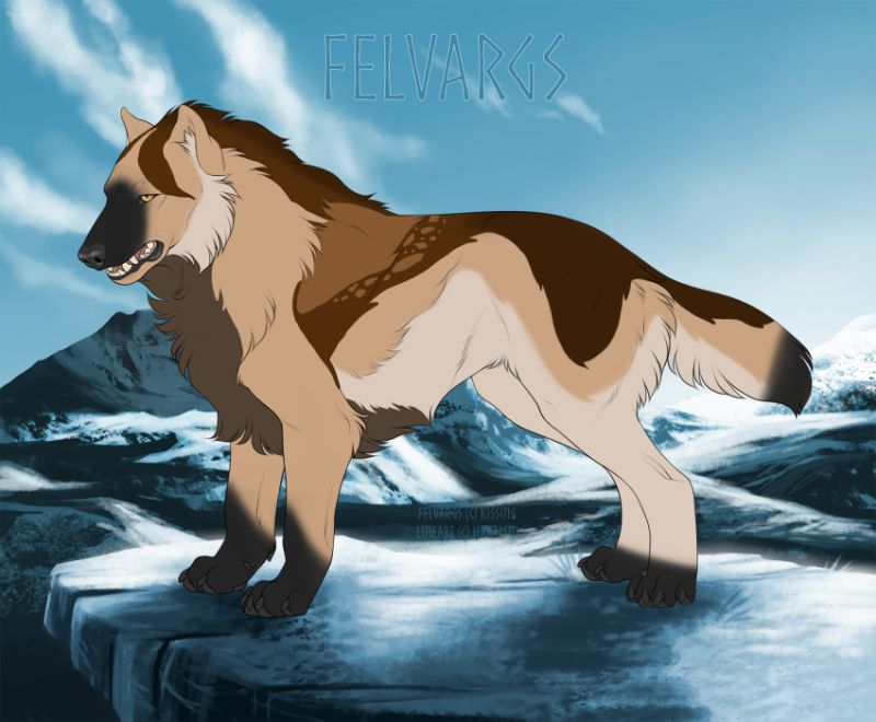 5048_Altaya