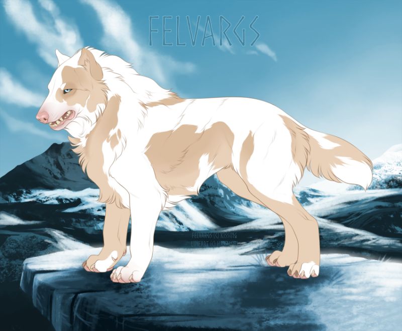 5059_Mikko