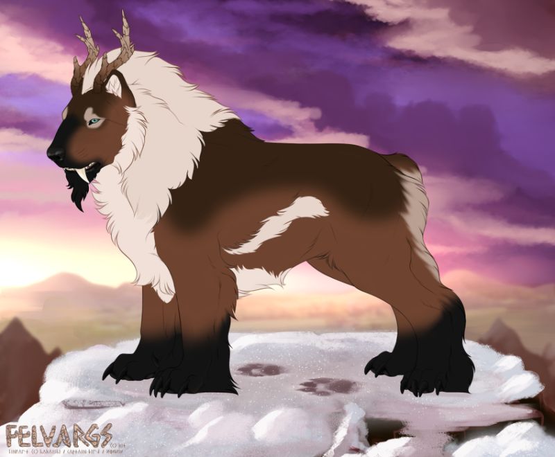 5320_Caribou