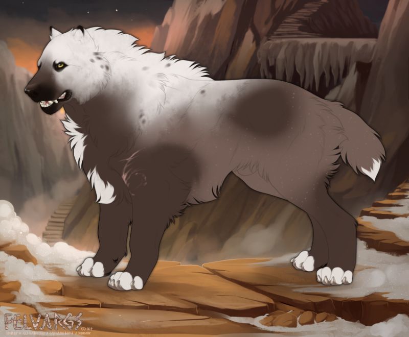 5358_Kodiak