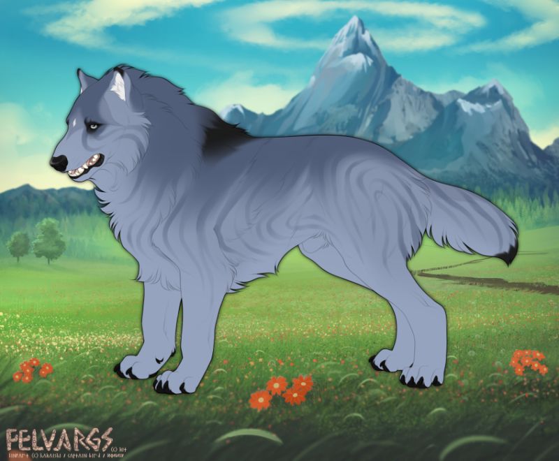 5360_Bonifaas